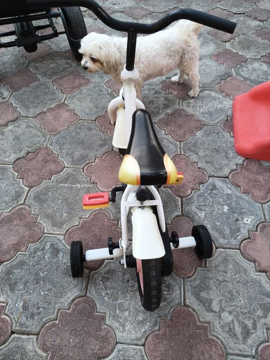 Bicicletă copii 10 inch cu roți ajutătoare (vârstă 2-4 ani)