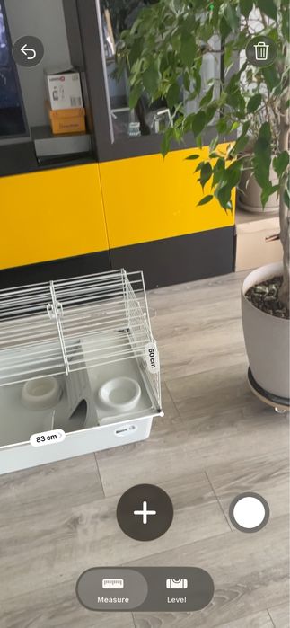Cusca iepure de companie