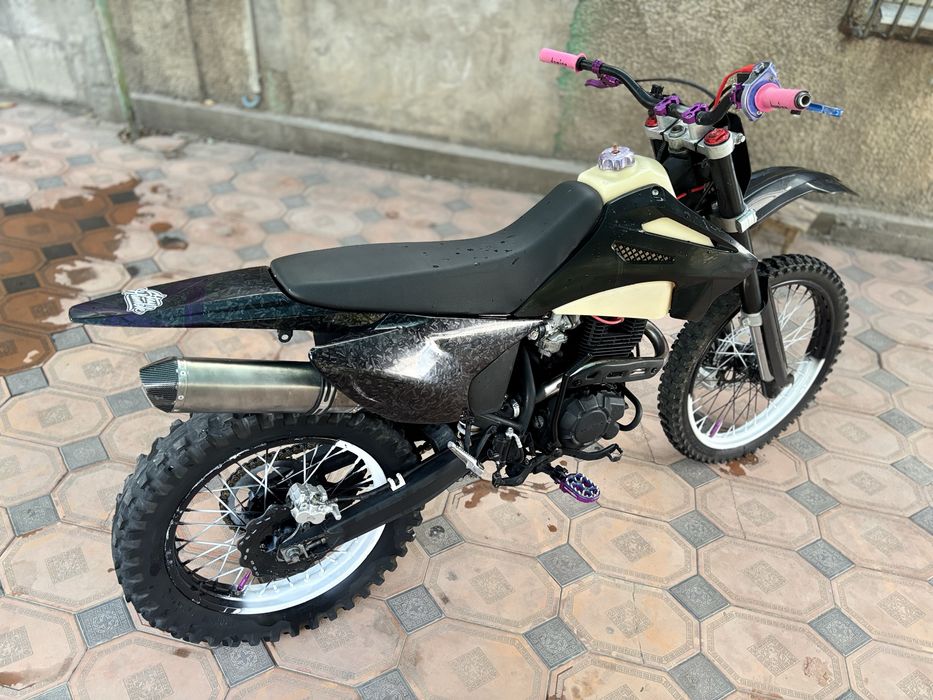 Progasi palma 300