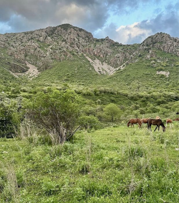 Аренда дача в Бургулуке