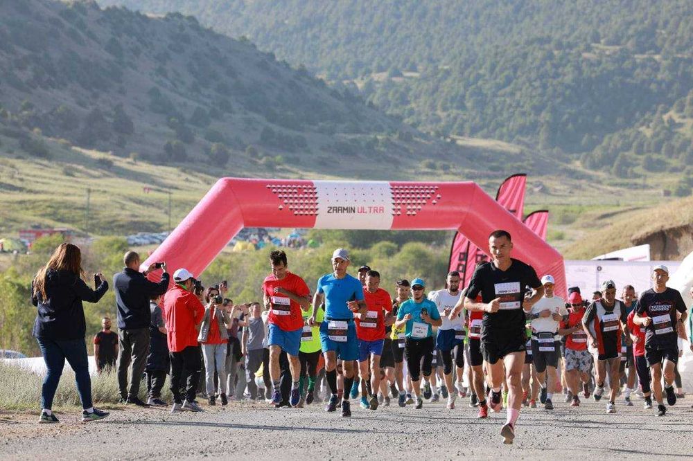 Start Finish uchun arka (sotuvda va ijara)
