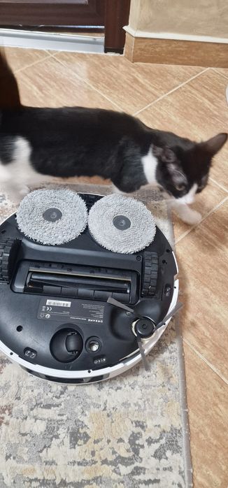 Produsul arata impecabil