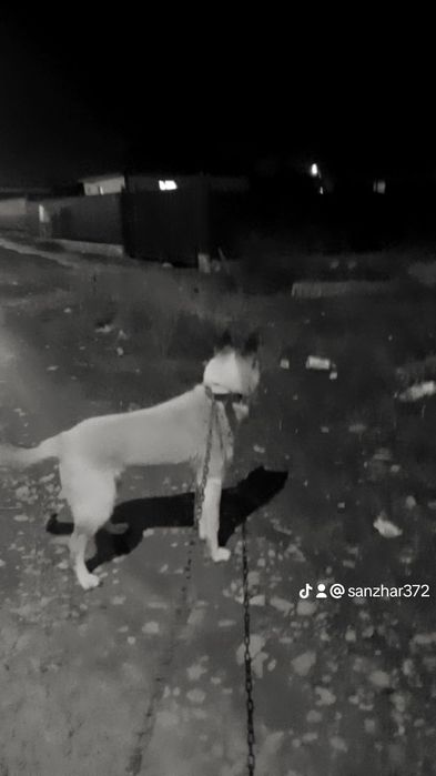Город талдыкорган