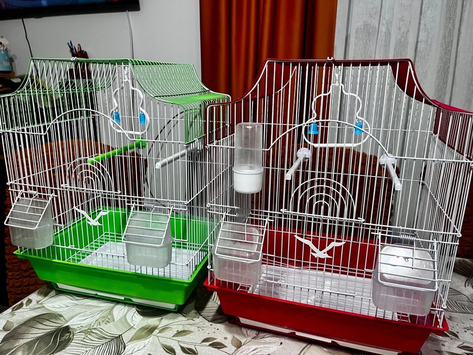 Vând colivii papagali ( peruși, canari, zebre, agapornita )