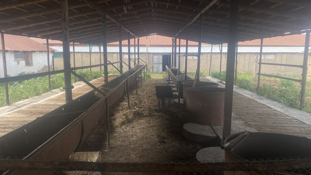 Срочно продается фазенда