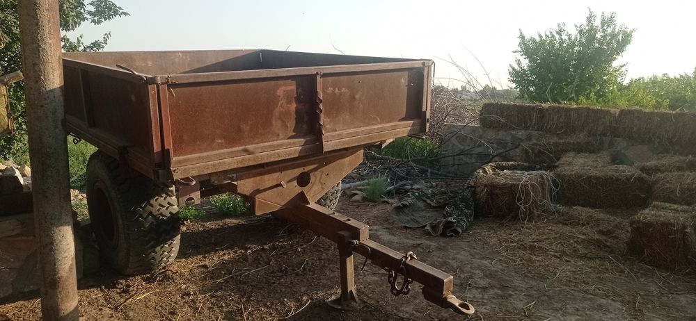 Tlichka uzum boğ uchun