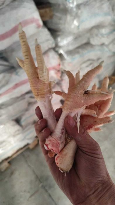 продам куриные лапки