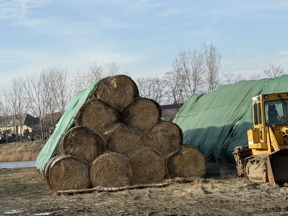 De vanzare baloti de grau