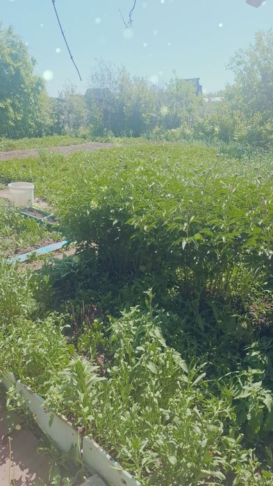 Продам дачу в  с/о Дархан