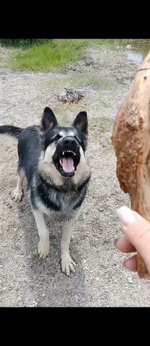 Вязка ВЕО кабель