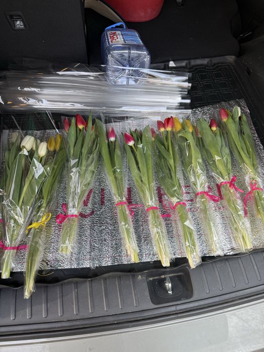 продаю цветы тюльпаны