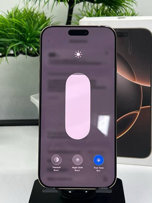 iPhone 16 Pro Max 256 gb