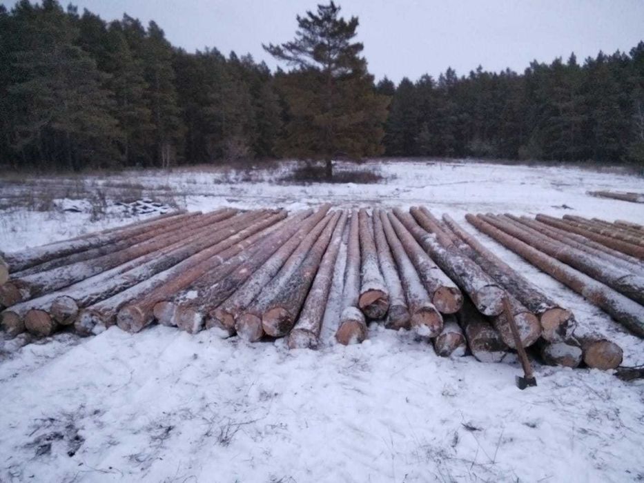 Деревянные опоры для ЛЭП И пиломатериалы