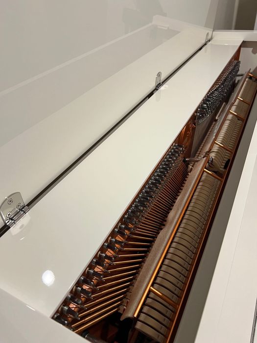 Пиано FEURICH 115