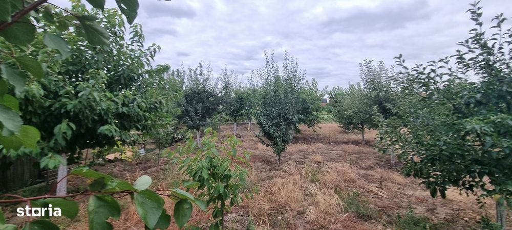 Vila cu etaj in zona fostelor sere Dobosari