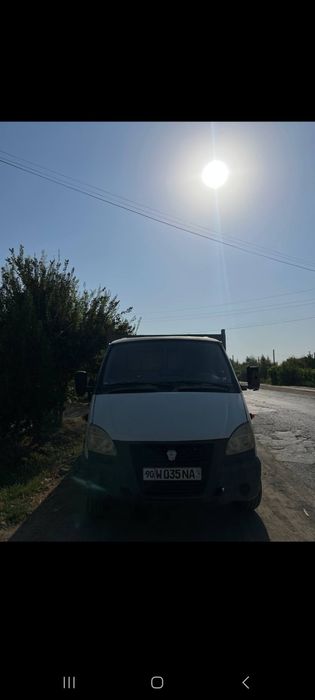Кулик орали тулиман