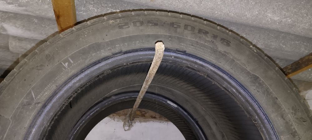 Шина р 16 летние