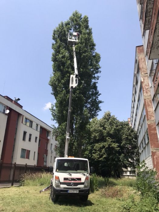 Рязане и кастрене на опасни дървета с автовишка