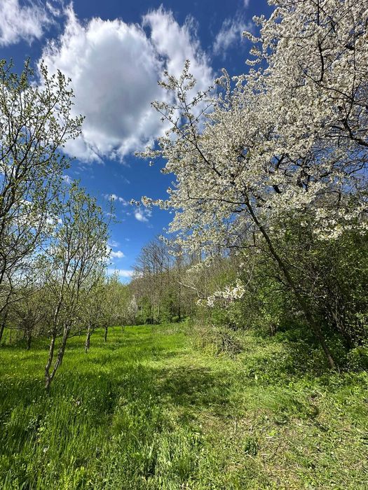 Casa Batraneasca + teren 1300mp Valenii de munte ( Comuna Teisani, sat Olteni, Valea Stâlpului)