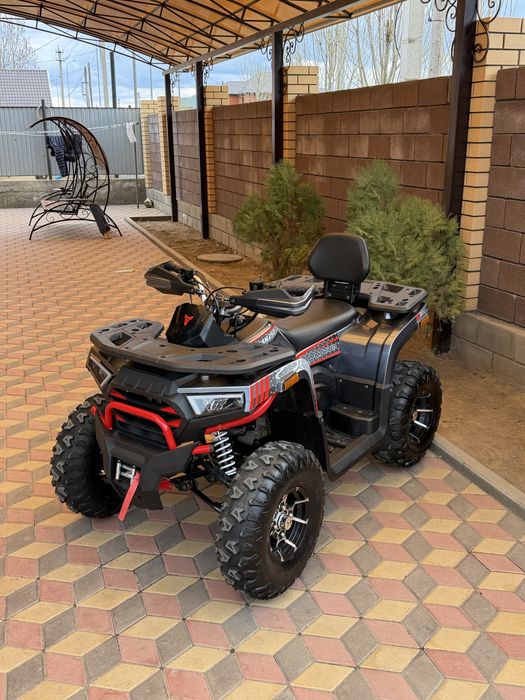 Tao motor titan 250x