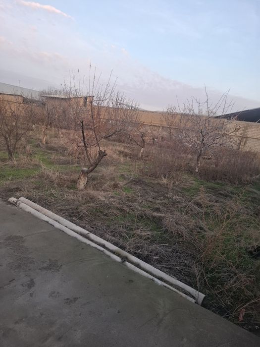 Ер сотилади Шердор туйхонасини ёнидан кирганда