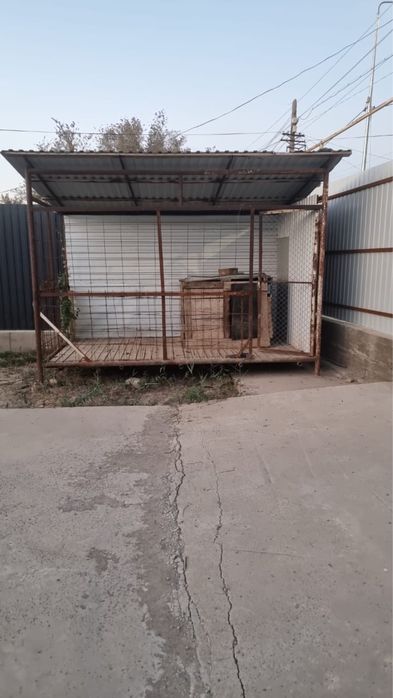 Вольер для собак