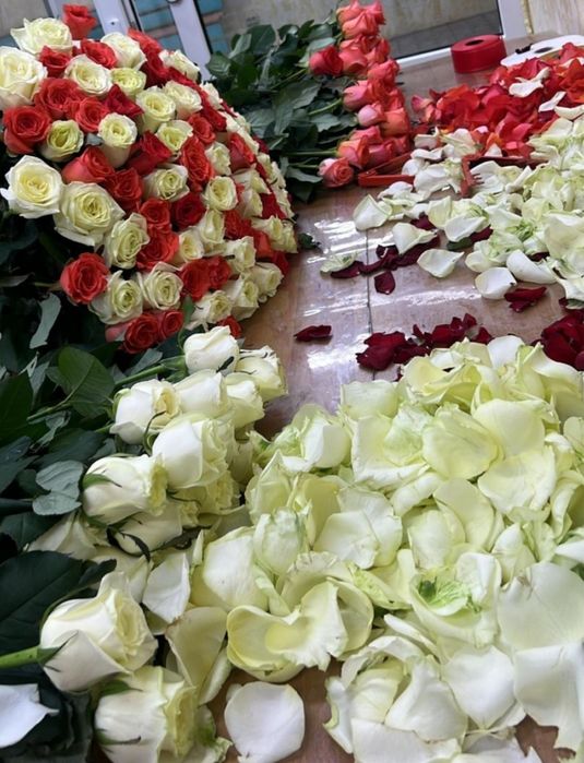 Розы , белые , красные , розовые