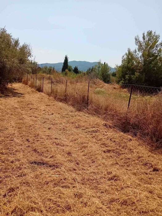 Продава два парцела с обща площ 2222м2 в Паралия Врасна,Северна Гърция