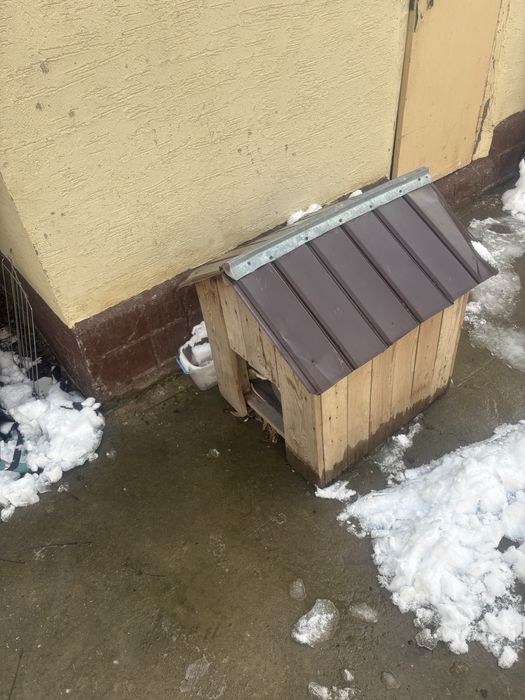 Будка для собаки (итке арналған үйшік)