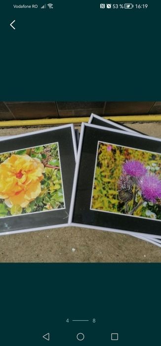Tablou A3, cu rama și geam de sticla, poze flori sau peisaje, semnat
