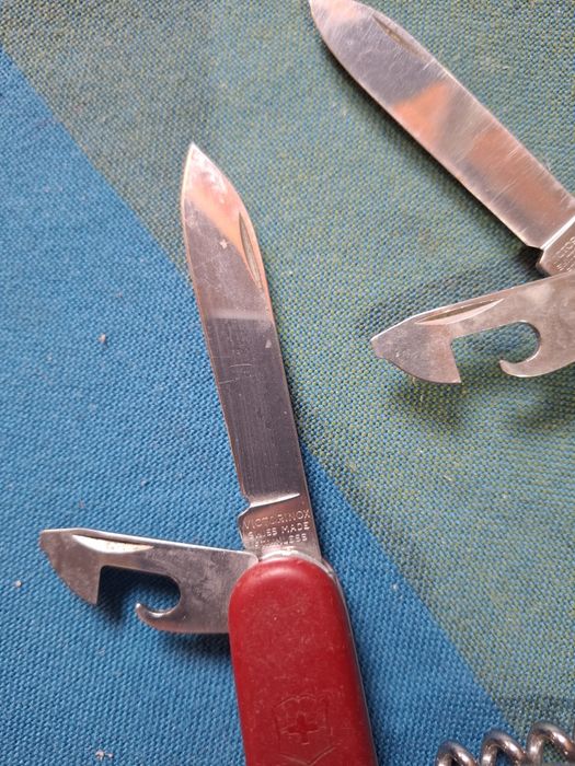 Швейцарски ножки цена 25лв за брой