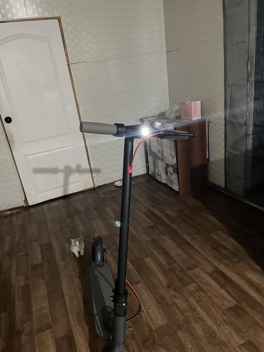 Продаю самокат на ходу
