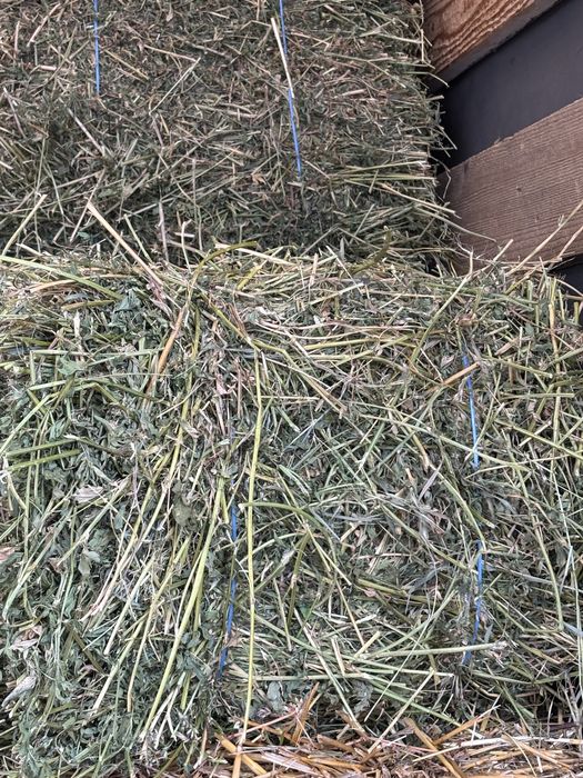 Baloti lucerna dreptunghiulari