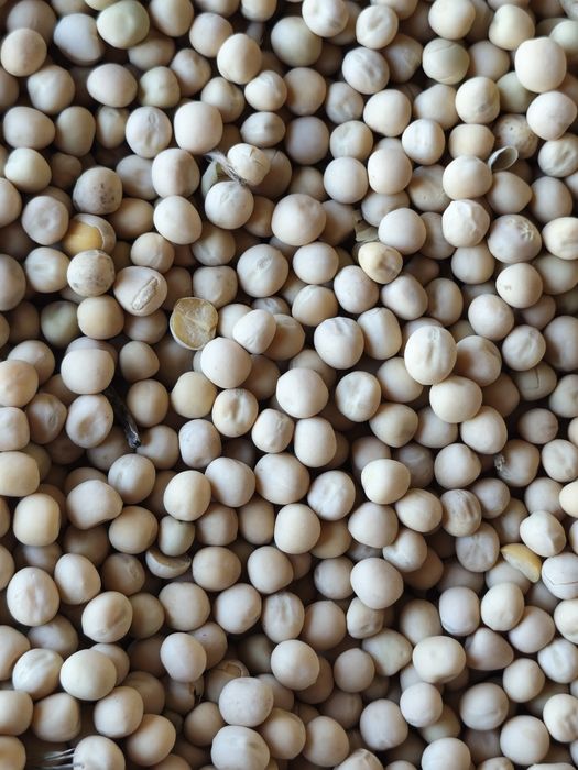 Mazare selectată la 1.70