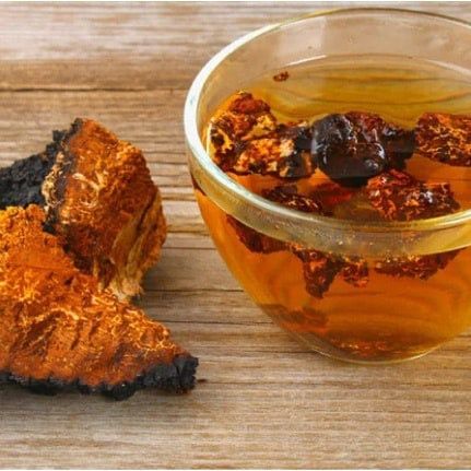 Чага ( берёзовый гриб) - природный антибиотик!Кусковая.