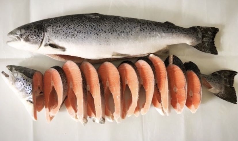 Семга норвежская премиум класса