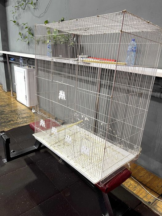 Клетки Б/у продаются