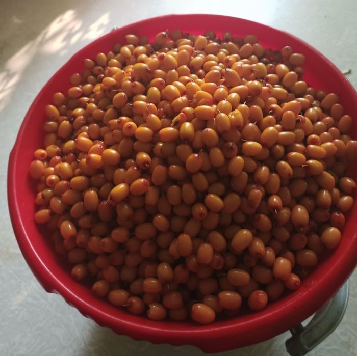 Продам ДАЧНУЮ облепиху