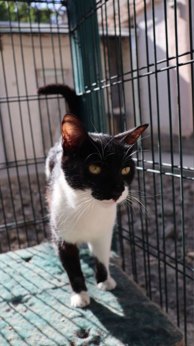 Милый мальчик ищет любящую семью!