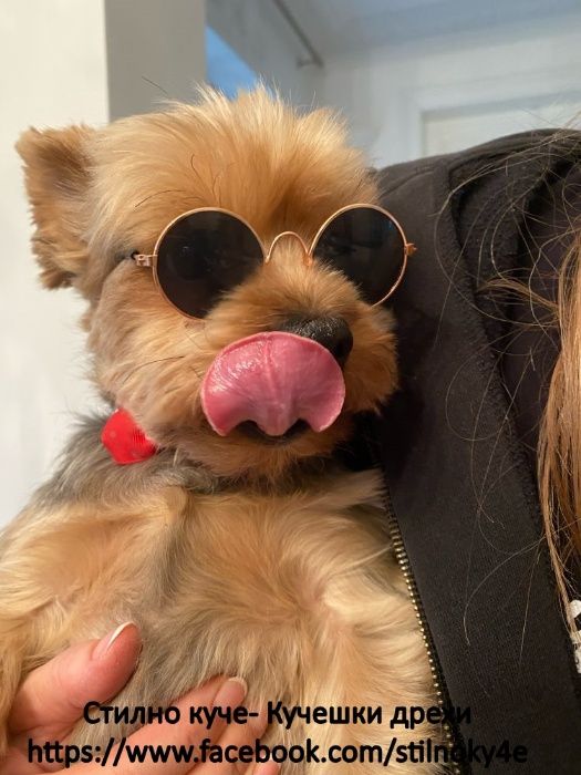 Кучешки очила-Различни разцветки Слънчеви очила за куче