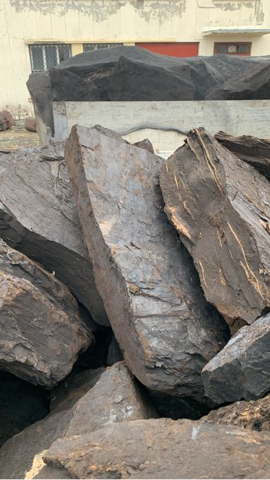 Carbune ligni pentru centrale