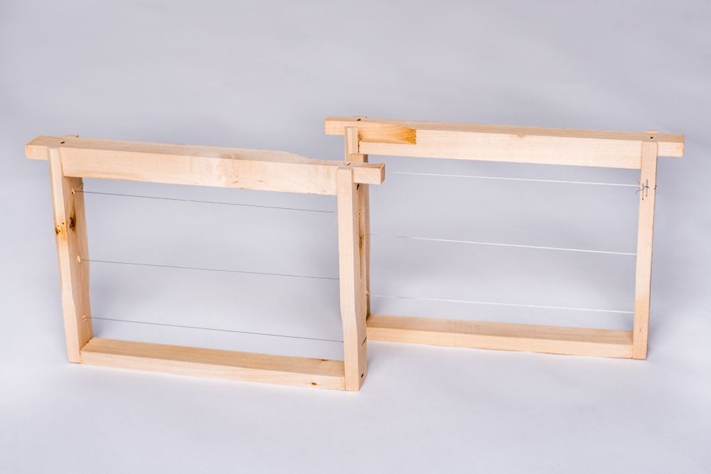 Оплодни рамки нуклиус