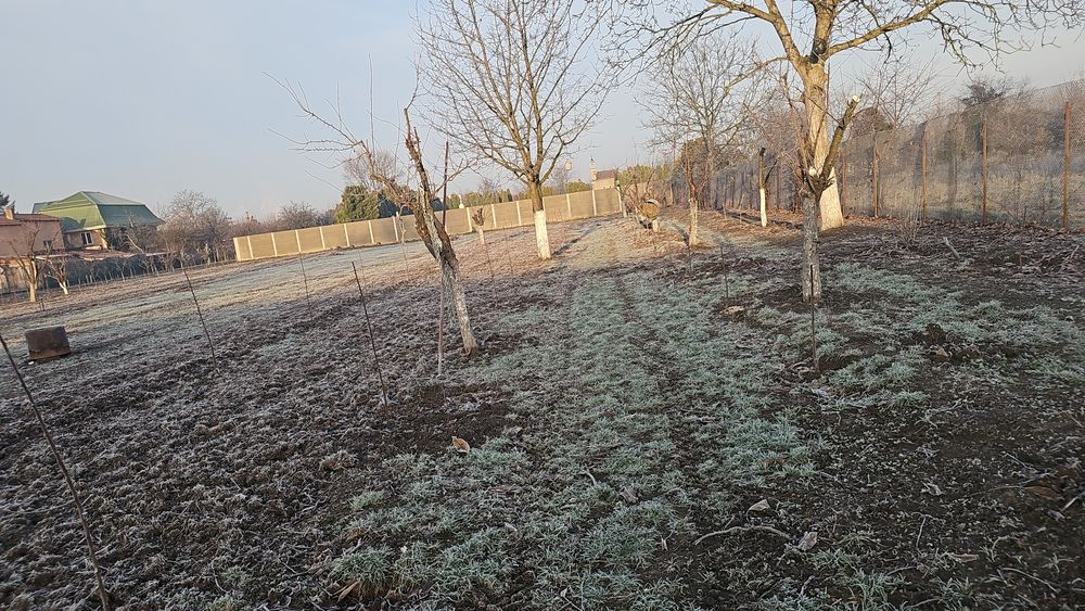 Închiriez în Timișoara teren intravilan