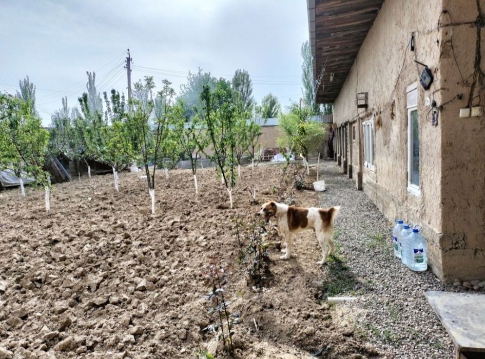 Uchastka sotiladi srochniy