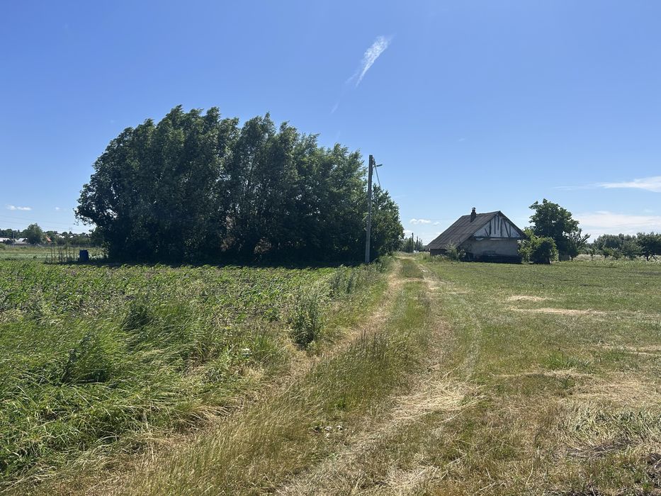 Vand teren intravilan Fantana Mare 4.500 mp