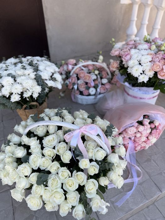 Свежая цена договорная
