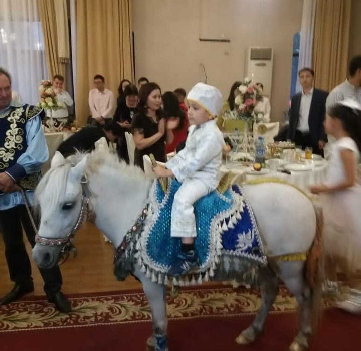 продам пони, кобылу с жеребенком