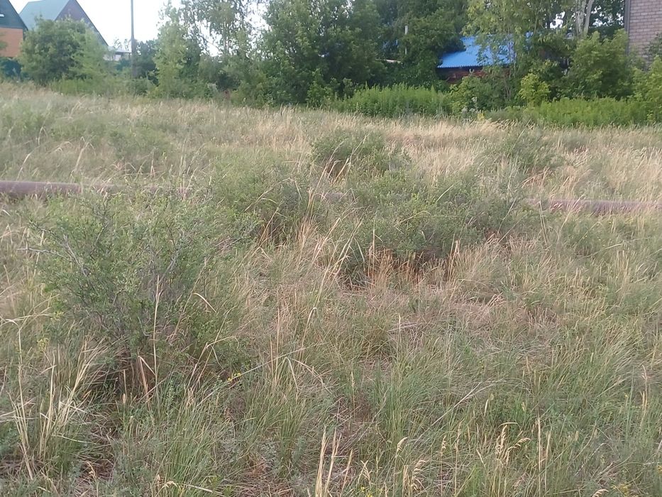 Продам участок на бухтарме