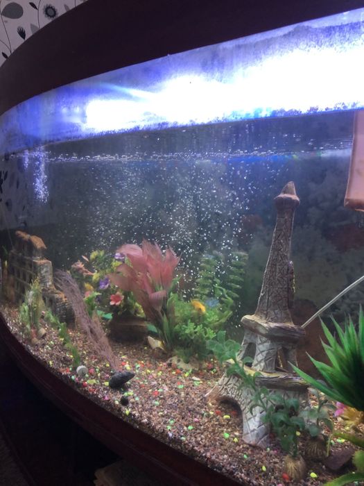 akvarium sotiladi 500 l sig’imi