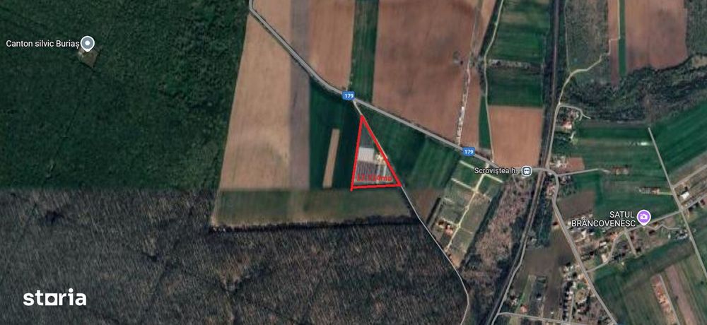 Balteni-Scrovistea, teren intravilan 17.714 mp, lângă pădure